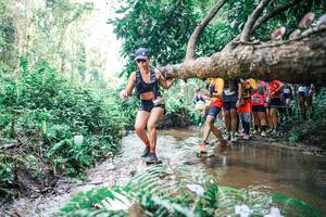 BIB: 
                            <button type="button" onclick="openModal(25472871)" class="btn btn-primary btn-sm float-right btn-popup" data-toggle="modal" data-target=".modal-high-quality">
                        <i class="fas fa-shopping-cart"></i> Add to Cart
                    </button>
                                            <button type="button" onclick="isThisMe(25472871, true)" class="btn btn-success btn-sm float-right btn-popup btn-isme hidden" data-toggle="tooltip" data-placement="bottom" title="นี่คือรูปของคุณใช่ไหม คลิกที่นี่เพื่อเอาเข้าอัลบั้ม">
                        <i class="fas fa-plus"></i> Add to album
                    </button>
                    <button type="button" onclick="isThisMe(25472871, false)" class="btn btn-warning btn-sm float-right btn-popup btn-isnotme hidden">
                        <i class="fas fa-ban"></i> Remove from album
                    </button>